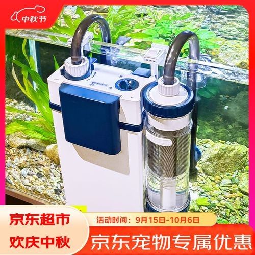 推薦幾款適合養金色六角龍魚的過濾器（六角龍魚過濾器推薦）