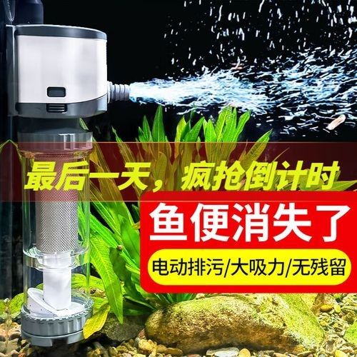 推薦幾款適合養金色六角龍魚的過濾器（六角龍魚過濾器推薦）