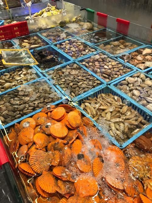 龍虎匯的海鮮價格如何（如何通過官方渠道查詢龍虎匯海鮮價格？） 龍虎匯的海鮮價格如何（如何通過官方渠道查詢龍虎匯海鮮價格？） 龍魚百科 第1張