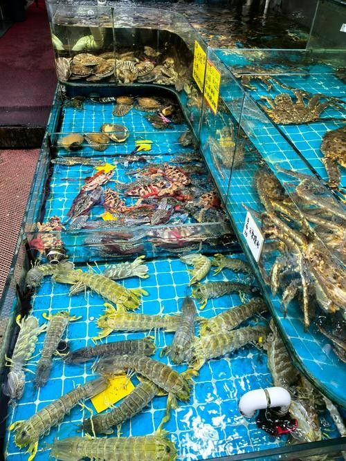 龍虎匯的海鮮價格如何（如何通過官方渠道查詢龍虎匯海鮮價格？） 龍虎匯的海鮮價格如何（如何通過官方渠道查詢龍虎匯海鮮價格？） 龍魚百科 第3張