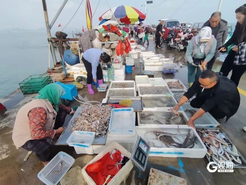 龍虎匯的海鮮價格如何（如何通過官方渠道查詢龍虎匯海鮮價格？） 龍虎匯的海鮮價格如何（如何通過官方渠道查詢龍虎匯海鮮價格？） 龍魚百科 第10張