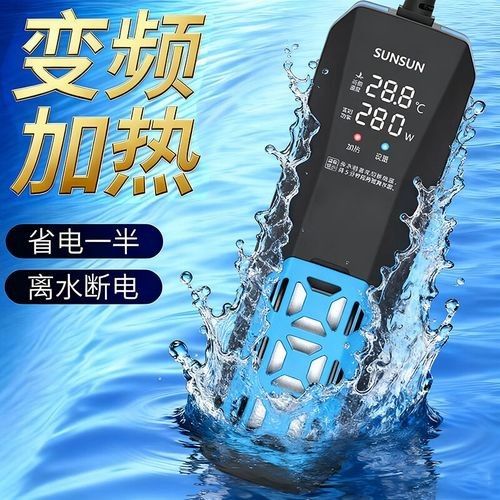 紅龍品種排行榜，最受認可的紅龍品種分類與排名