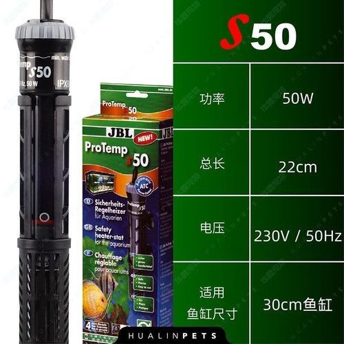 甲硝唑對小瓜蟲有效嗎，甲硝唑對小瓜蟲是否有效