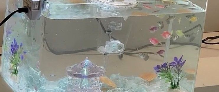 哪種材質的魚缸最耐用？（哪種材質的魚缸最耐用）
