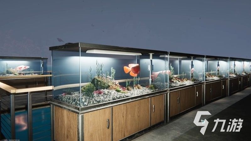 金龍魚在游戲中的稀有程度（七日世界金龍魚怎么獲取金龍魚釣魚地點一覽九游九游）