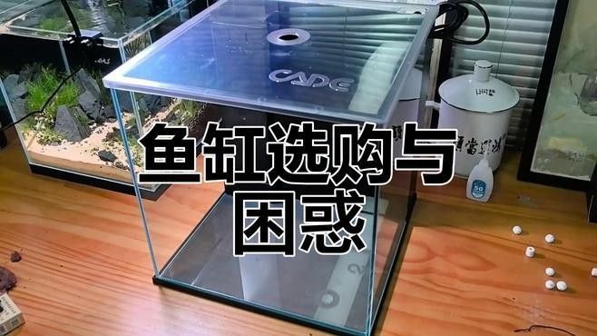 彩蝶龍魚缸有哪些設計特點（彩蝶龍魚缸的設計特點）