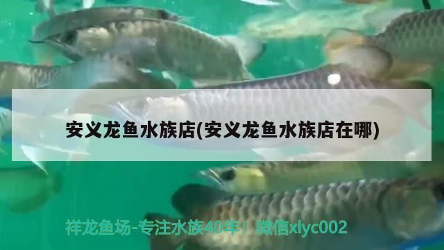 安義龍魚水族店(安義龍魚水族店在哪)（安義龍魚水族店和安義龍魚水族店和安義龍魚水族店在哪對應的信息）