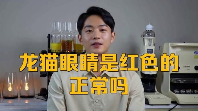 如何區分龍貓的不同顏色（追夢旅程龍貓的顏色種類解析龍貓的常見顏色種類解析） 如何區分龍貓的不同顏色（追夢旅程龍貓的顏色種類解析龍貓的常見顏色種類解析） 龍魚百科 第5張