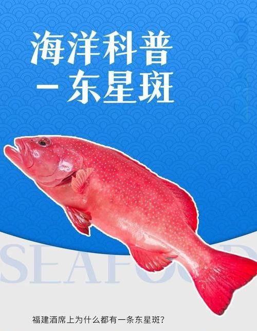 眼斑魚品牌介紹（麗江龍繼斑魚賣魚七郎紅石斑魚紅石斑魚排行榜京東聽）