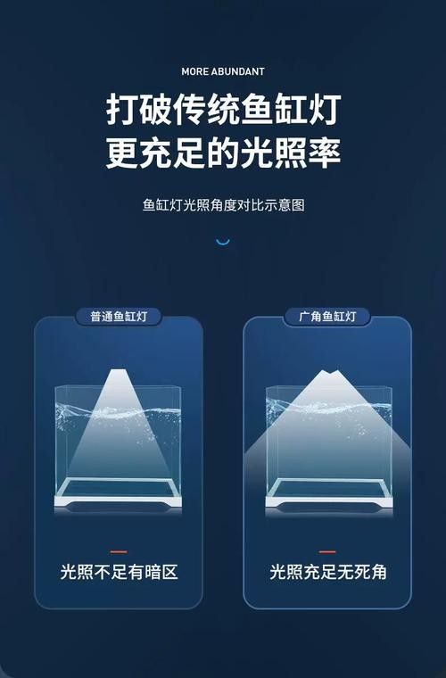 龍魚缸水草燈如何選擇（如何選擇魚缸水草燈）