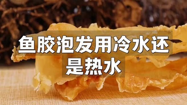 金龍魚膠一次泡發(fā)多少合適（金龍魚膠一次泡發(fā)多了怎么辦金龍魚膠正確泡發(fā)方法來了）