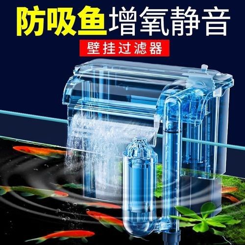 如何選擇節能型魚缸設備？（節能型魚缸設備如何選擇）