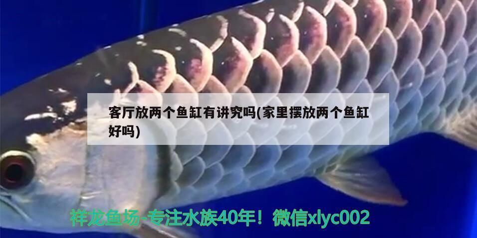 魚缸用增氧泵價格是多少:魚缸增氧機-xtrac增氧機-xtrac增氧機 客廳放兩個魚缸有講究嗎(家里擺放兩個魚缸好嗎)(客廳放兩個魚缸有講究嗎,客廳里能放兩個魚缸嗎,客廳能放兩個嗎) 觀賞魚百科 客廳放兩個魚缸有講究嗎(家里擺放兩個魚缸好嗎)(客廳放兩個魚缸有講究嗎,客廳里能放兩個魚缸嗎,客廳能放兩個嗎) 客廳放兩個魚缸有講究嗎(家里擺放兩個魚缸好嗎)(客廳放兩個魚缸有講究嗎,客廳里能放兩個魚缸嗎,客廳能放兩個嗎) 觀賞魚百科