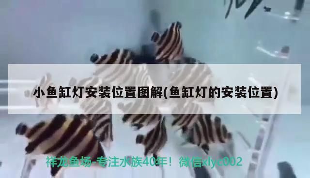 小魚缸燈安裝位置圖解(魚缸燈的安裝位置)（關于魚缸支架燈的使用）