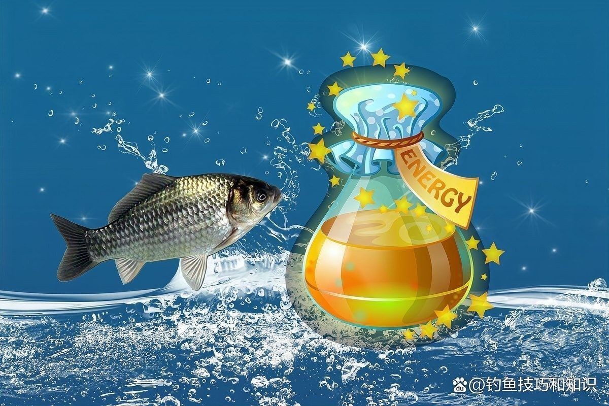 銀龍魚眼睛下垂能否完全恢復？（銀龍魚的眼睛下垂能否完全恢復？）