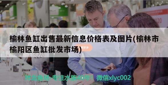 榆林魚缸出售最新信息價(jià)格表及圖片(榆林市榆陽(yáng)區(qū)魚缸批發(fā)市場(chǎng))（榆林魚缸出售最新信息價(jià)格表）
