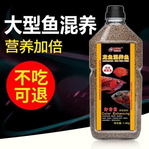 給我一些龍魚和發財魚混養的圖片(龍魚與發財魚混養的圖片資源及混養要點) 龍魚百科 第24張 給我一些龍魚和發財魚混養的圖片(龍魚與發財魚混養的圖片資源及混養要點) 給我一些龍魚和發財魚混養的圖片(龍魚與發財魚混養的圖片資源及混養要點) 龍魚百科 第24張