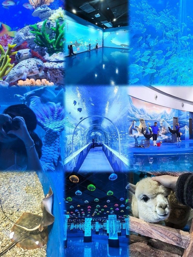 城區哪個水族館龍魚好？祥龍魚場龍魚（北京城區哪個水族館龍魚好）