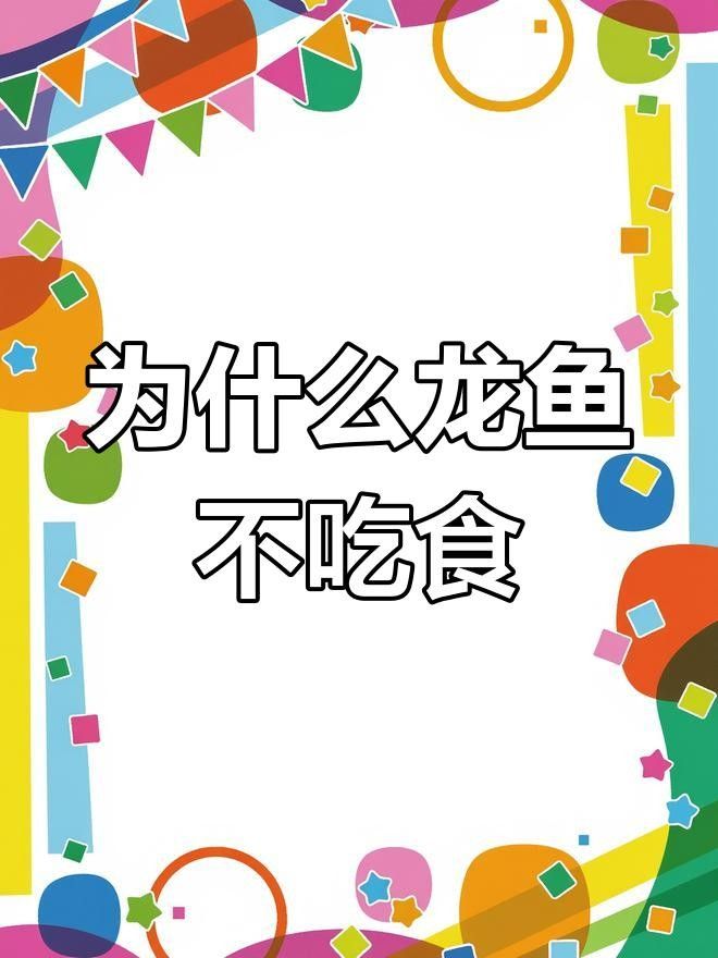 為什么龍魚突然不吃泥鰍了呢（為什么龍魚突然不吃泥鰍了） 為什么龍魚突然不吃泥鰍了呢（為什么龍魚突然不吃泥鰍了） 觀賞魚百科 第6張
