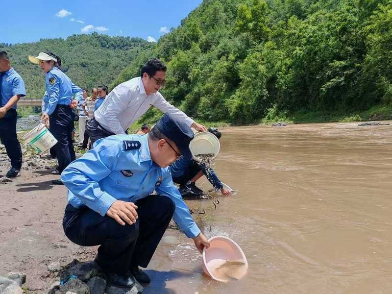 昭覺龍魚（“昭覺龍魚”可能并非一個特定的品牌或項目并非一個特定的品牌）