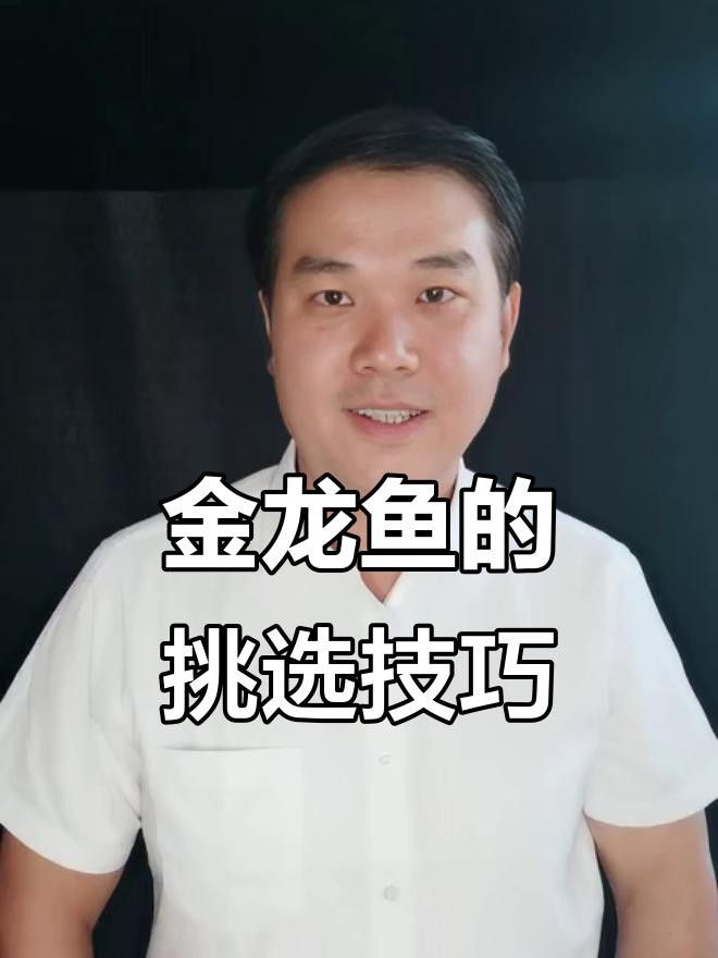 <strong><mark>西山</mark></strong>金龍魚（江西溪流驚現‘野生金龍魚’）