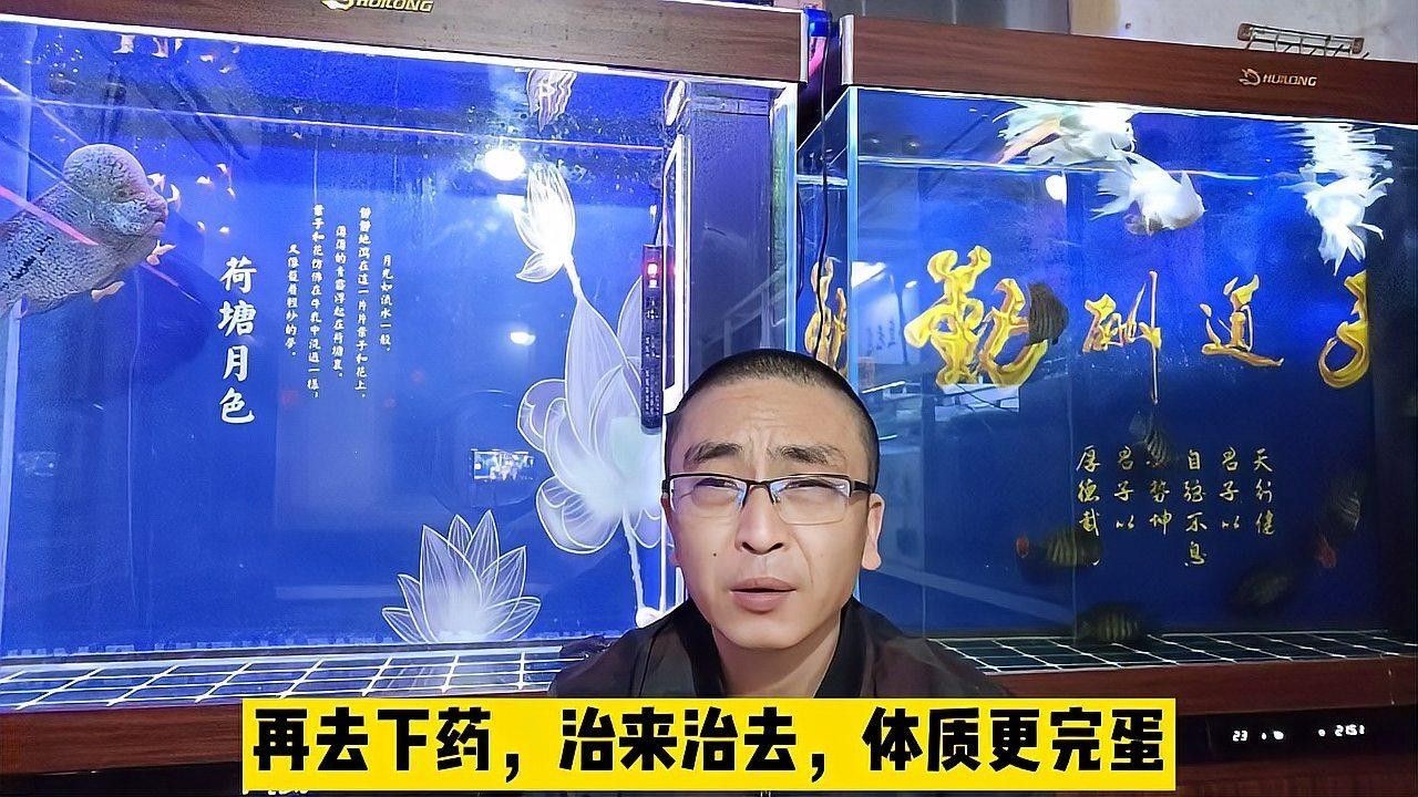 觀賞魚如何防治疾病（百度文庫觀賞魚常見十大疾病及防治方法3分鐘治療白點病） 觀賞魚如何防治疾病（百度文庫觀賞魚常見十大疾病及防治方法3分鐘治療白點病） 觀賞魚百科 第4張