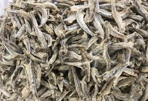 虎紋恐龍魚吃哪些飼料比較好（為虎紋恐龍魚選擇飼料時需要考慮到其特殊的營養需求和口味偏好） 虎紋恐龍魚吃哪些飼料比較好（為虎紋恐龍魚選擇飼料時需要考慮到其特殊的營養需求和口味偏好） 龍魚百科 第5張