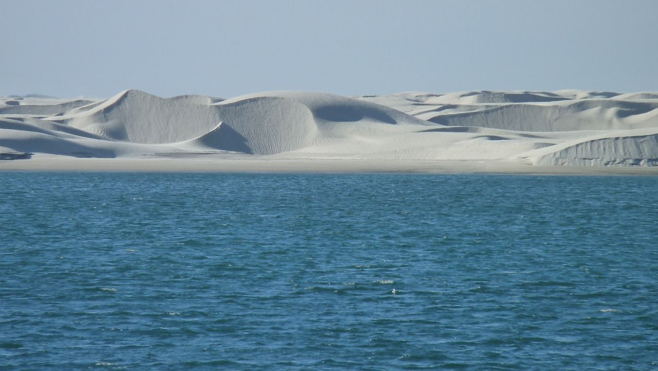 海南海水觀賞魚養(yǎng)殖場地（海南海水觀賞魚養(yǎng)殖場地址）（海南海水觀賞魚養(yǎng)殖場地）