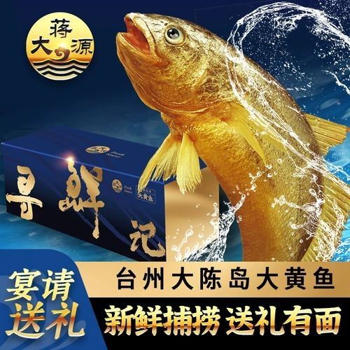 臺(tái)州特產(chǎn)黃魚（臺(tái)州人的驕傲是大黃魚） 臺(tái)州特產(chǎn)黃魚（臺(tái)州人的驕傲是大黃魚） 觀賞魚百科 第3張