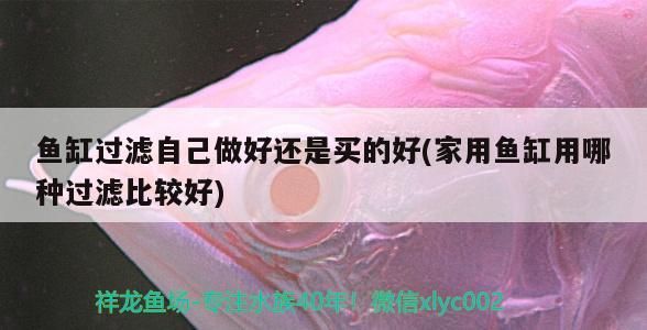 魚缸過濾自己做好還是買的好(家用魚缸用哪種過濾比較好)（魚缸過濾自己做好還是買的好）