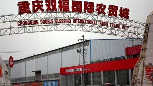 雙福國際農(nóng)貿(mào)城地址（雙福國際農(nóng)貿(mào)城有哪些特色產(chǎn)品雙福國際農(nóng)貿(mào)城有哪些）