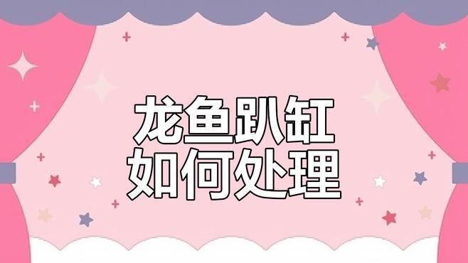 馬來西亞龍魚養殖業如何？（關于馬來西亞龍魚養殖業的詳細介紹）