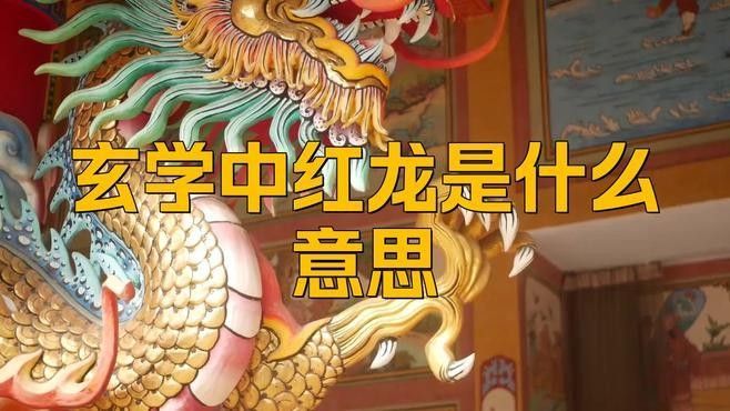 冰法師和紅龍哪個更厲害？（《爐石傳說》冰法師和紅龍哪個更適合新手冰法師和紅龍）