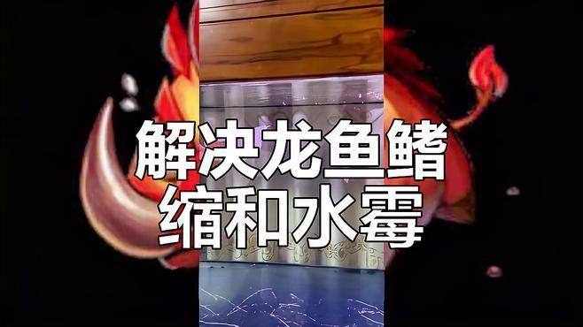 金龍魚翹頭會死嗎？（金龍魚翹頭怎么辦？）