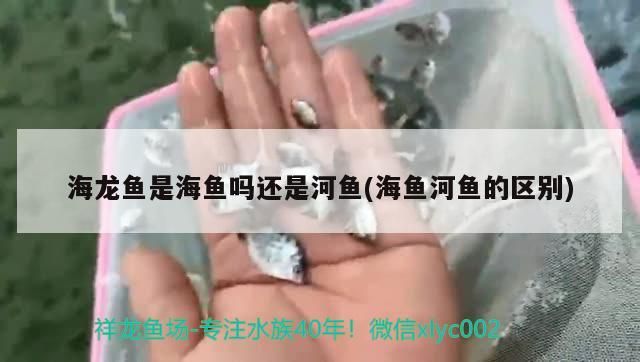 蚌埠二手魚缸市場(chǎng)在哪里啊多少錢(蚌埠二手舊貨市場(chǎng)在哪里)(蚌埠二手魚缸市場(chǎng)在哪里,) 觀賞魚百科 第1張 蚌埠二手魚缸市場(chǎng)在哪里啊多少錢(蚌埠二手舊貨市場(chǎng)在哪里)(蚌埠二手魚缸市場(chǎng)在哪里,) 蚌埠二手魚缸市場(chǎng)在哪里啊多少錢(蚌埠二手舊貨市場(chǎng)在哪里)(蚌埠二手魚缸市場(chǎng)在哪里,) 觀賞魚百科 第1張
