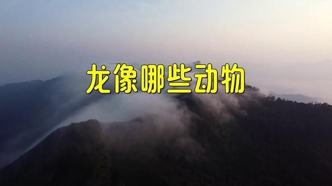 再舉幾個龍形象重構的例子（中國文化中最具象征意義的神話生物之一）