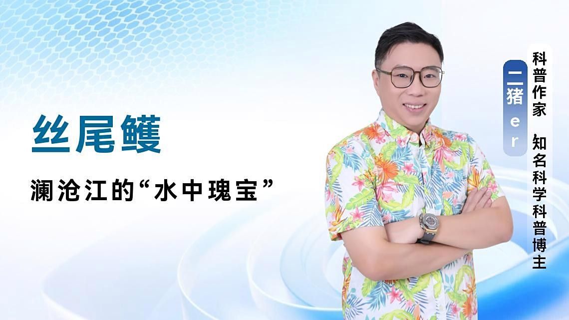 紅金龍魚壽命有多長,上海拍賣市場有哪些風險因素? 龍魚百科 第1張 紅金龍魚壽命有多長,上海拍賣市場有哪些風險因素? 紅金龍魚壽命有多長,上海拍賣市場有哪些風險因素? 龍魚百科 第1張