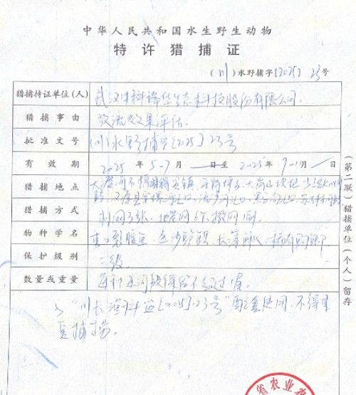 漢源哪個水族館龍魚好？祥龍魚場龍魚（廣州龍魚祥龍魚場）