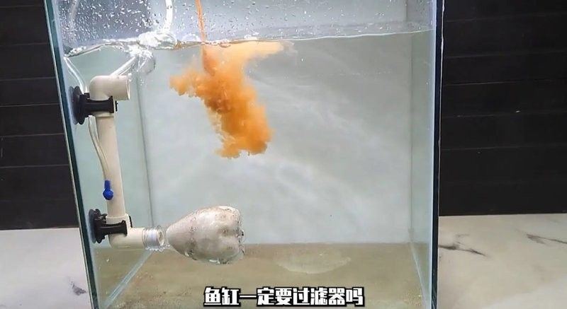龍魚缸需要安裝過濾器嗎（魚缸需要安裝過濾器嗎）