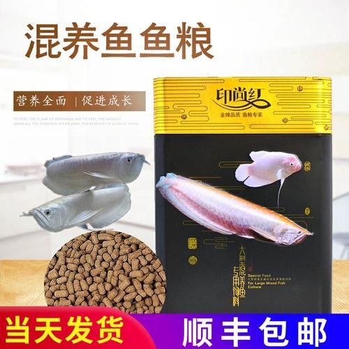 印尚紅精品龍魚飼料（印尚紅精品龍魚飼料有哪些特點(diǎn)？）