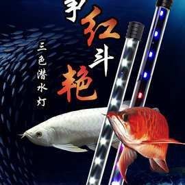 龍魚缸照明燈的價格范圍（魚缸照明燈的價格范圍）