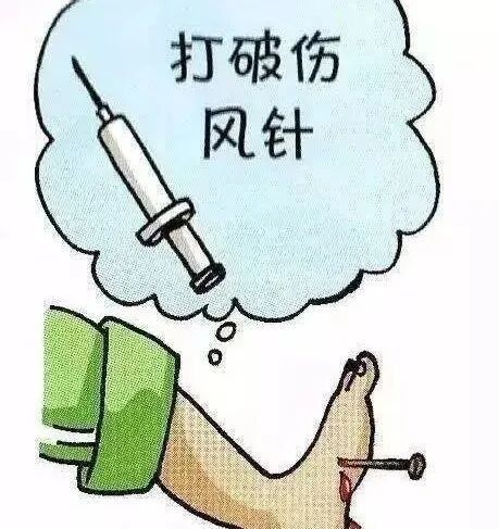 TAT和TIG哪個更貴？（tat和tig哪個更貴）