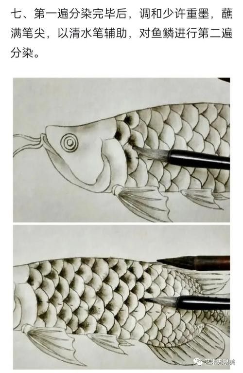 給我一張龍魚的素描圖片（手繪線描龍魚東揚繪畫:手繪線描龍魚東揚繪畫）