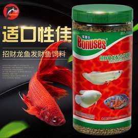 白子金龍魚的價格是多少？（子金龍魚的價格因地區、品種和市場供需狀況而異，白子金龍魚的價格因地區、品種和市場供需狀況而異）