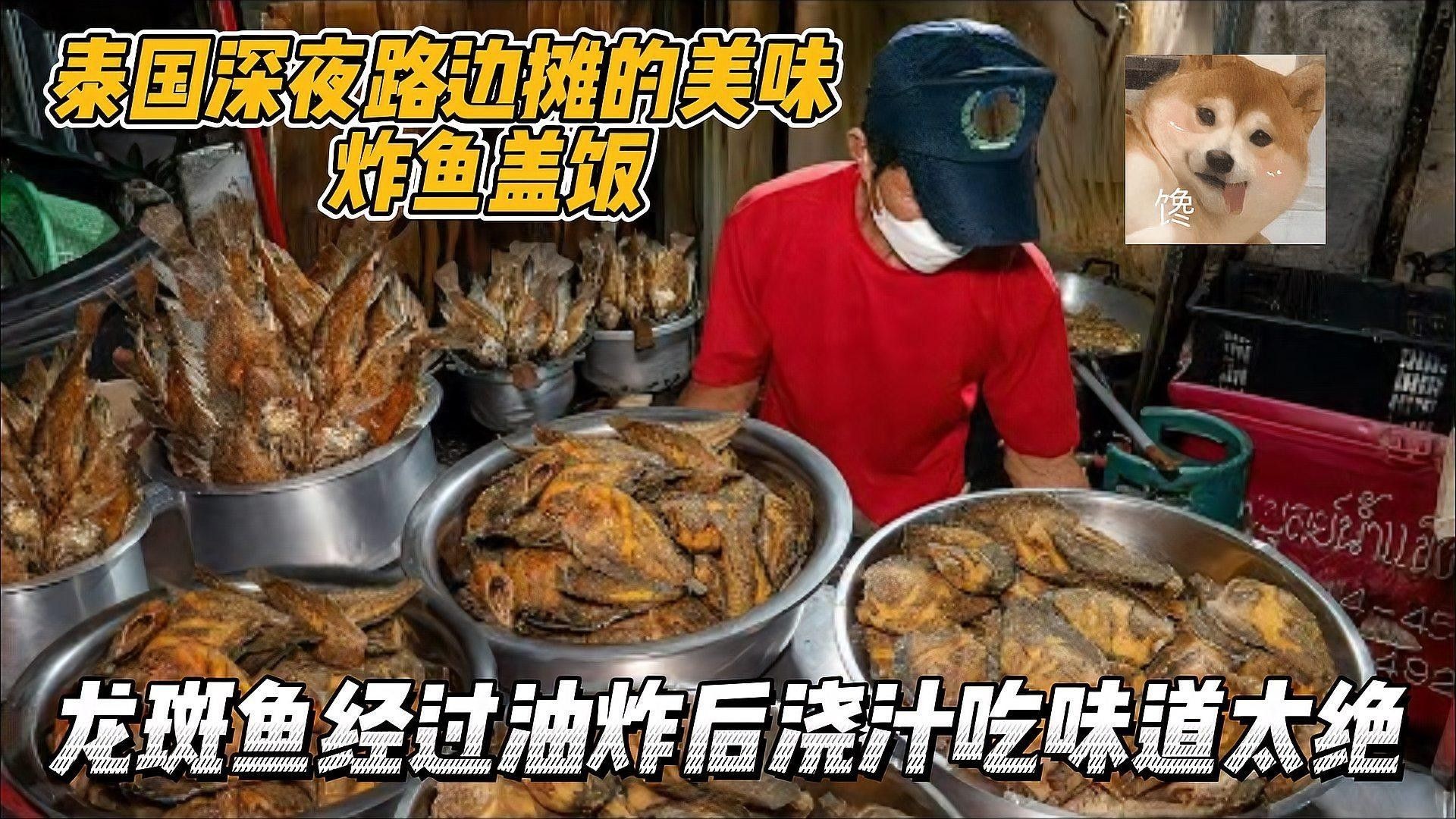 斑紋龍魚有哪些烹飪方法（斑紋龍魚的做法）