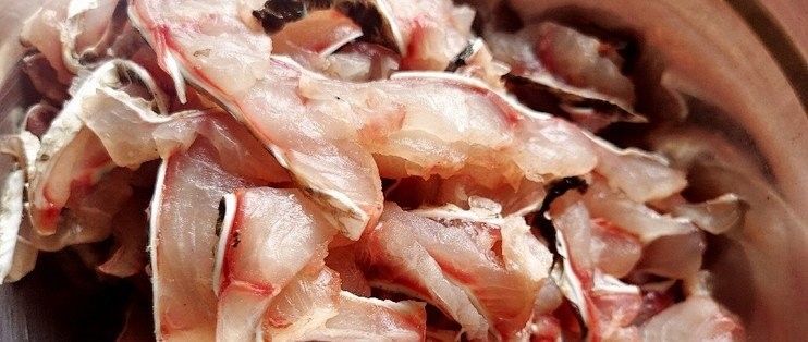 斑紋龍魚有哪些烹飪方法（斑紋龍魚的做法）