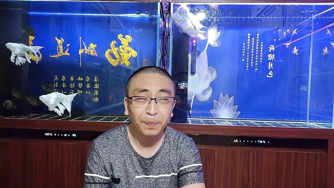 魟魚和虎魚混養的最佳搭配（魟魚與虎魚混養的最佳搭配）