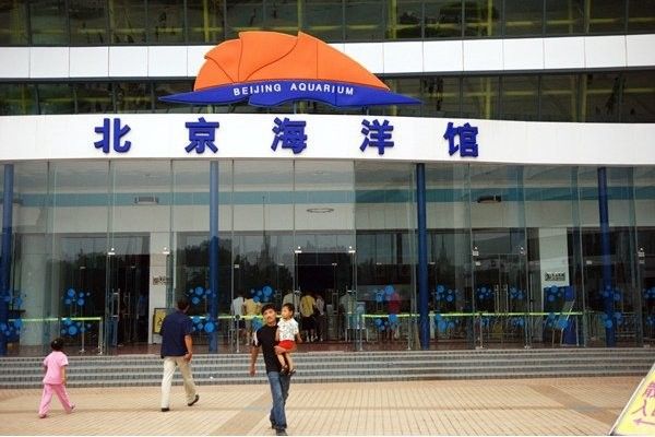 藍(lán)山哪個水族館龍魚好？祥龍魚場龍魚（北京海洋館總經(jīng)理胡維勇:守護(hù)蔚藍(lán)世界的“養(yǎng)魚人”北京旅游網(wǎng)）