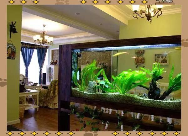 龍魚缸濾材多久清洗一次（魚缸濾材多久清洗一次）
