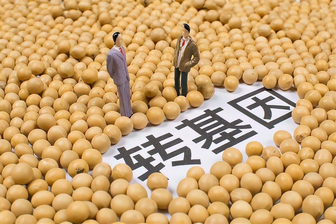 金龍魚轉(zhuǎn)基因產(chǎn)品有哪些品種？（京東，金龍魚再曝轉(zhuǎn)基因風(fēng)波）